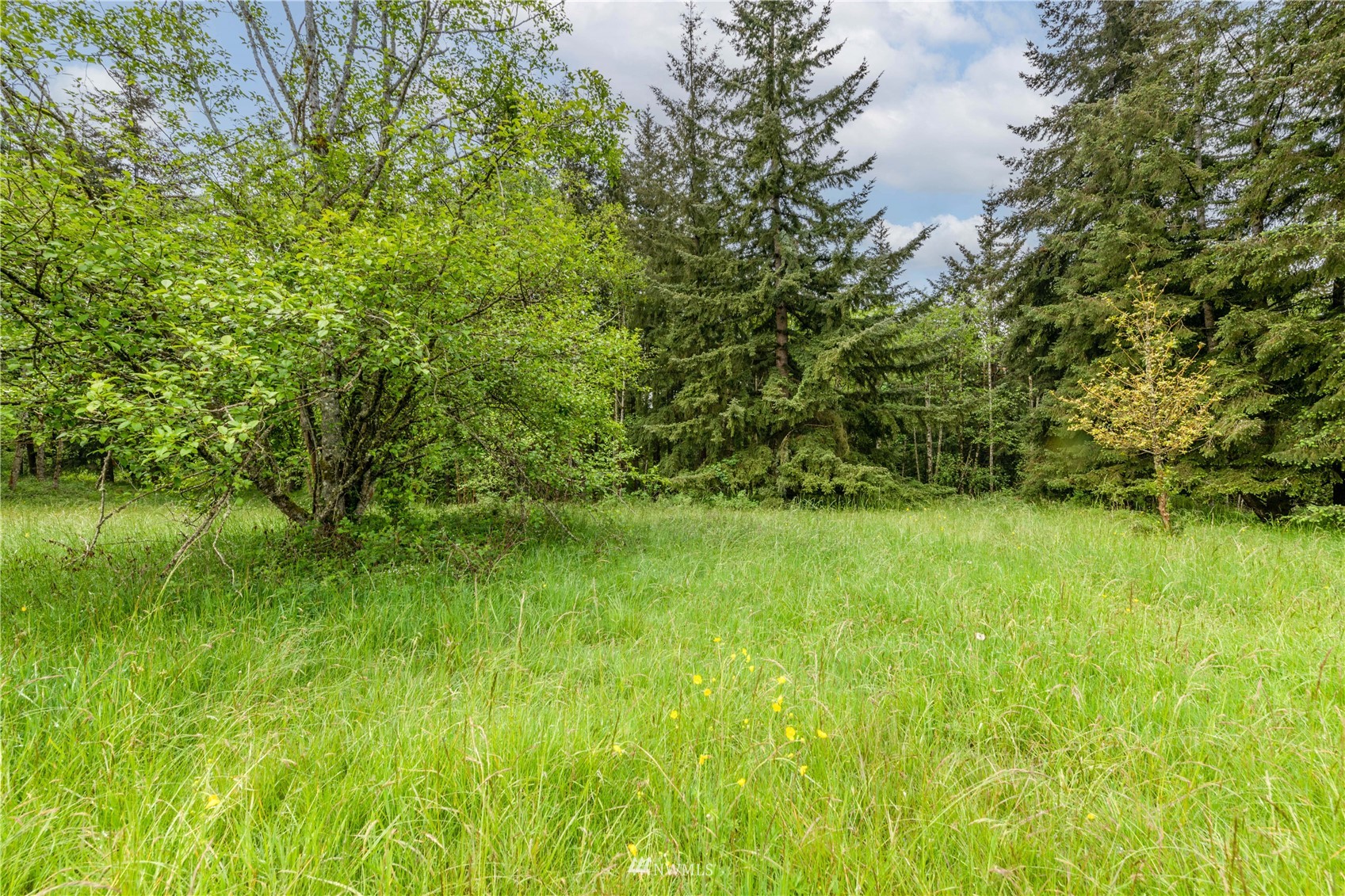 0 Risley Road Kelso, WA 98626 - Photo 6 of 22 Gallery Image 6