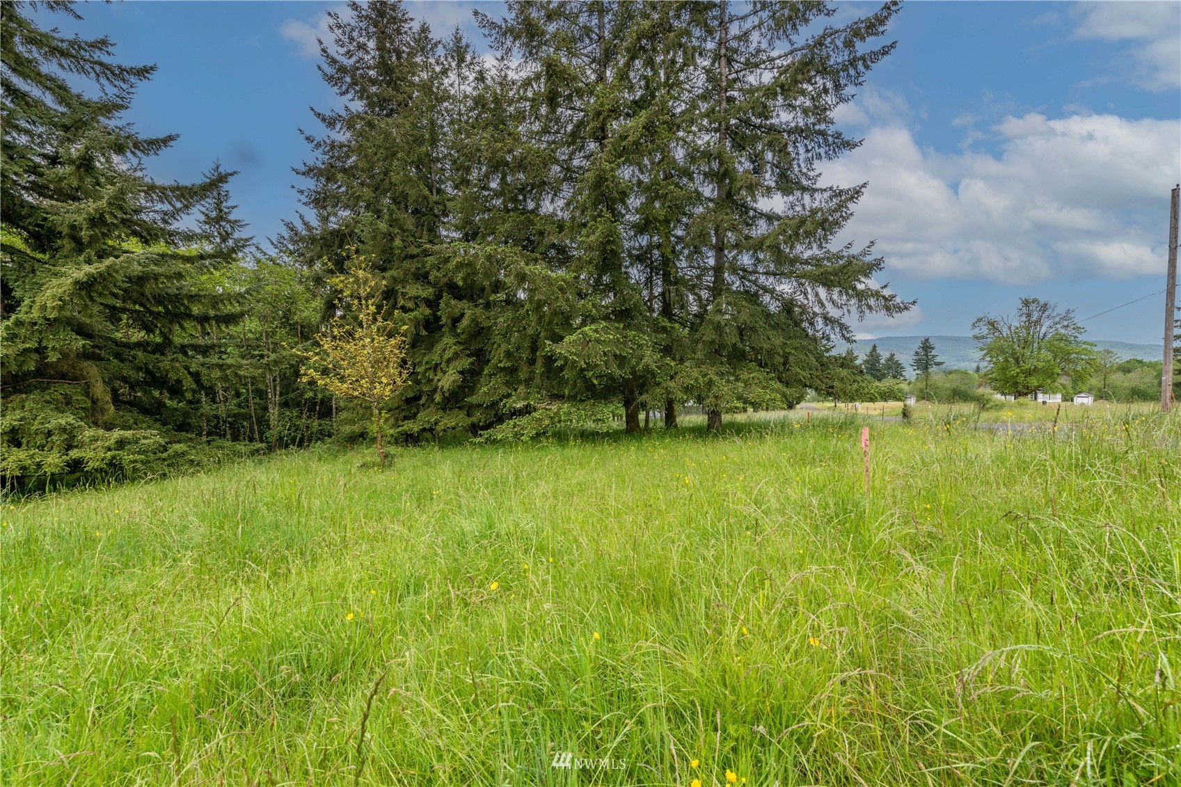0 Risley Road Kelso, WA 98626 - Photo 7 of 22 Gallery Image 7