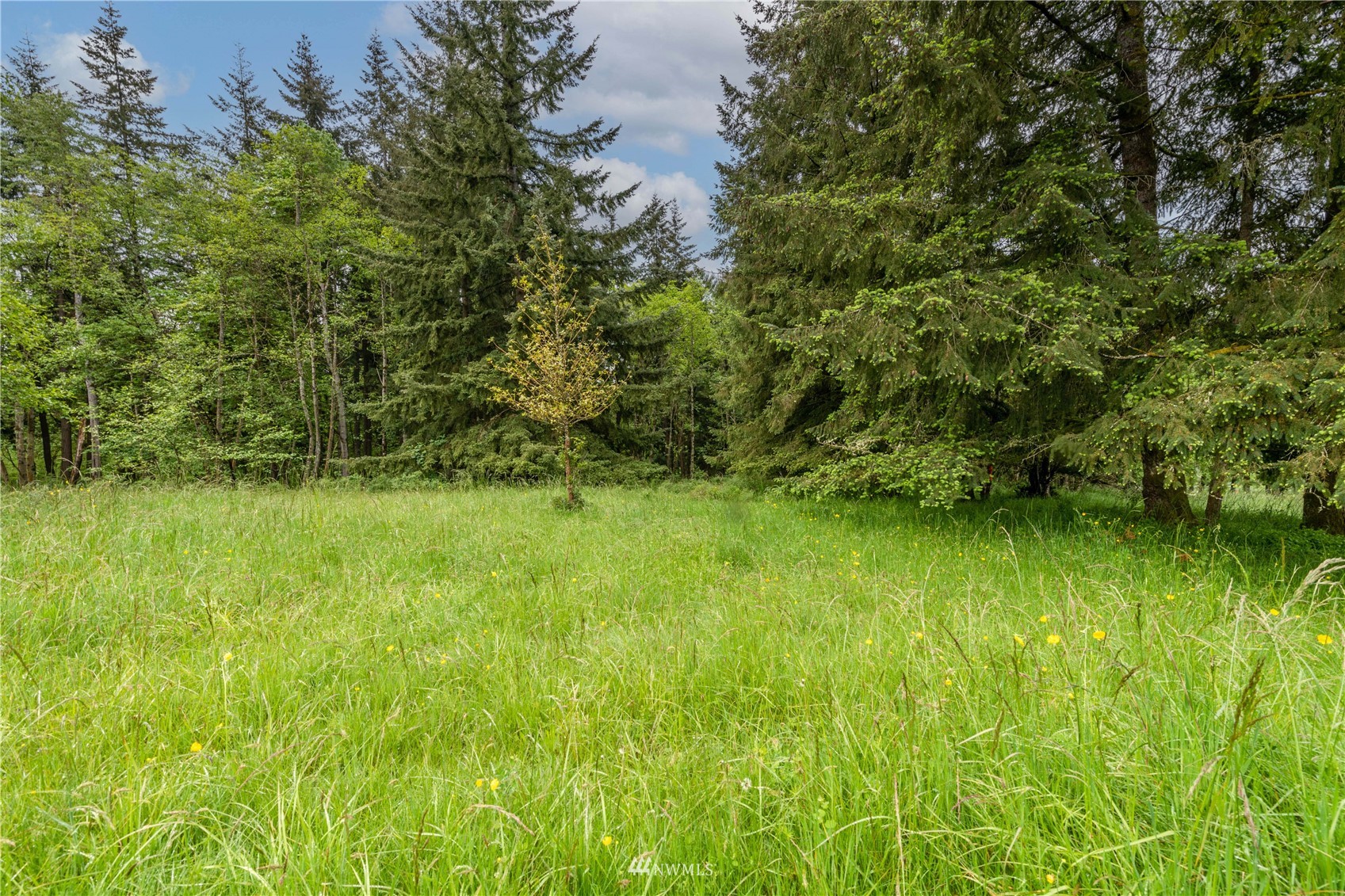 0 Risley Road Kelso, WA 98626 - Photo 8 of 22 Gallery Image 8