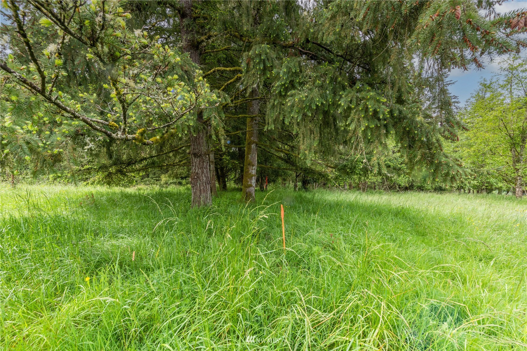 0 Risley Road Kelso, WA 98626 - Photo 9 of 22 Gallery Image 9
