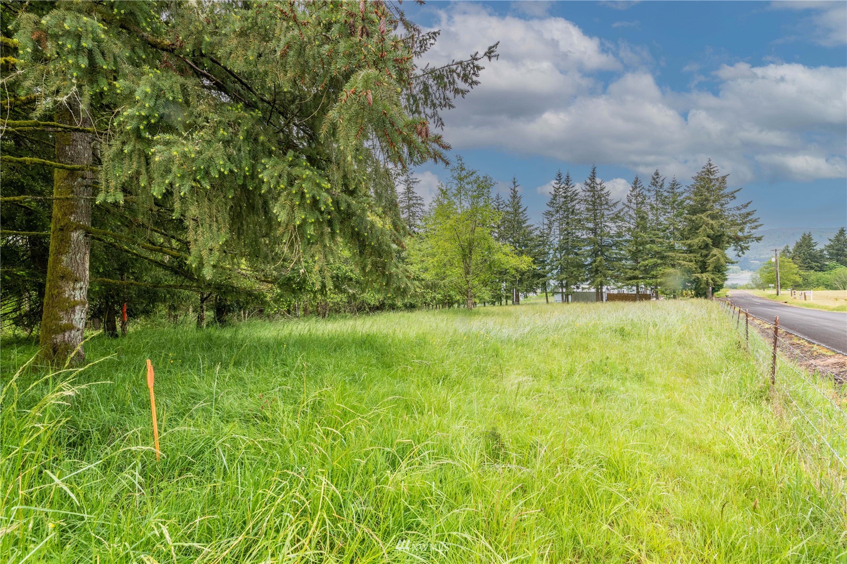 0 Risley Road Kelso, WA 98626 - Photo 10 of 22 Gallery Image 10