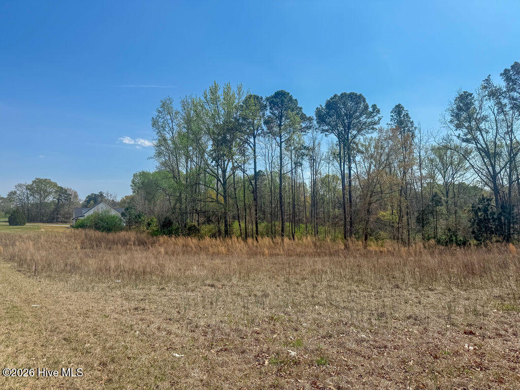 3 Connell Road Carthage, NC 28327 - Photo 11 of 15 11