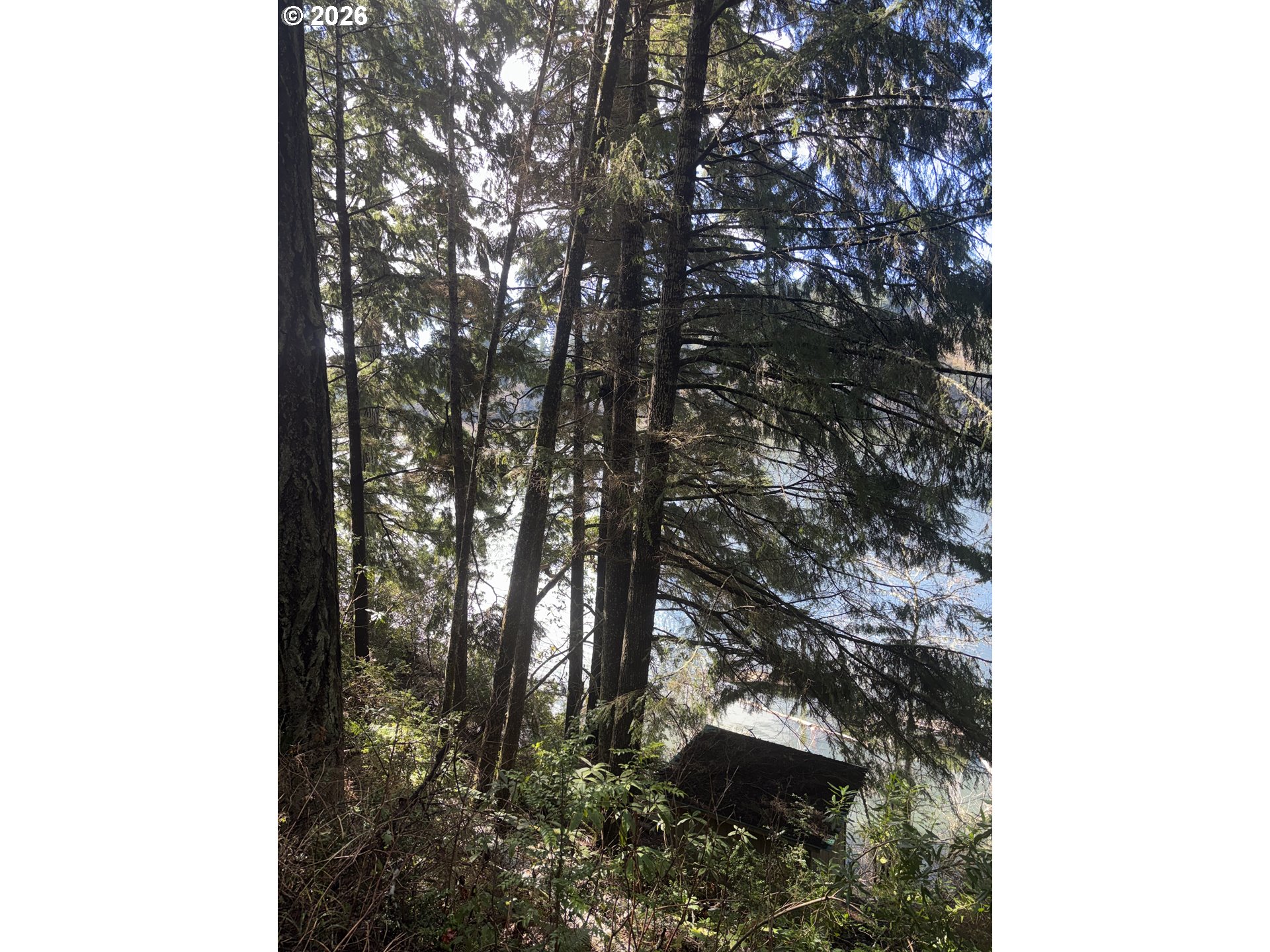 72294 Potlatch Road Lakeside, OR 97449 - Photo 13 of 30