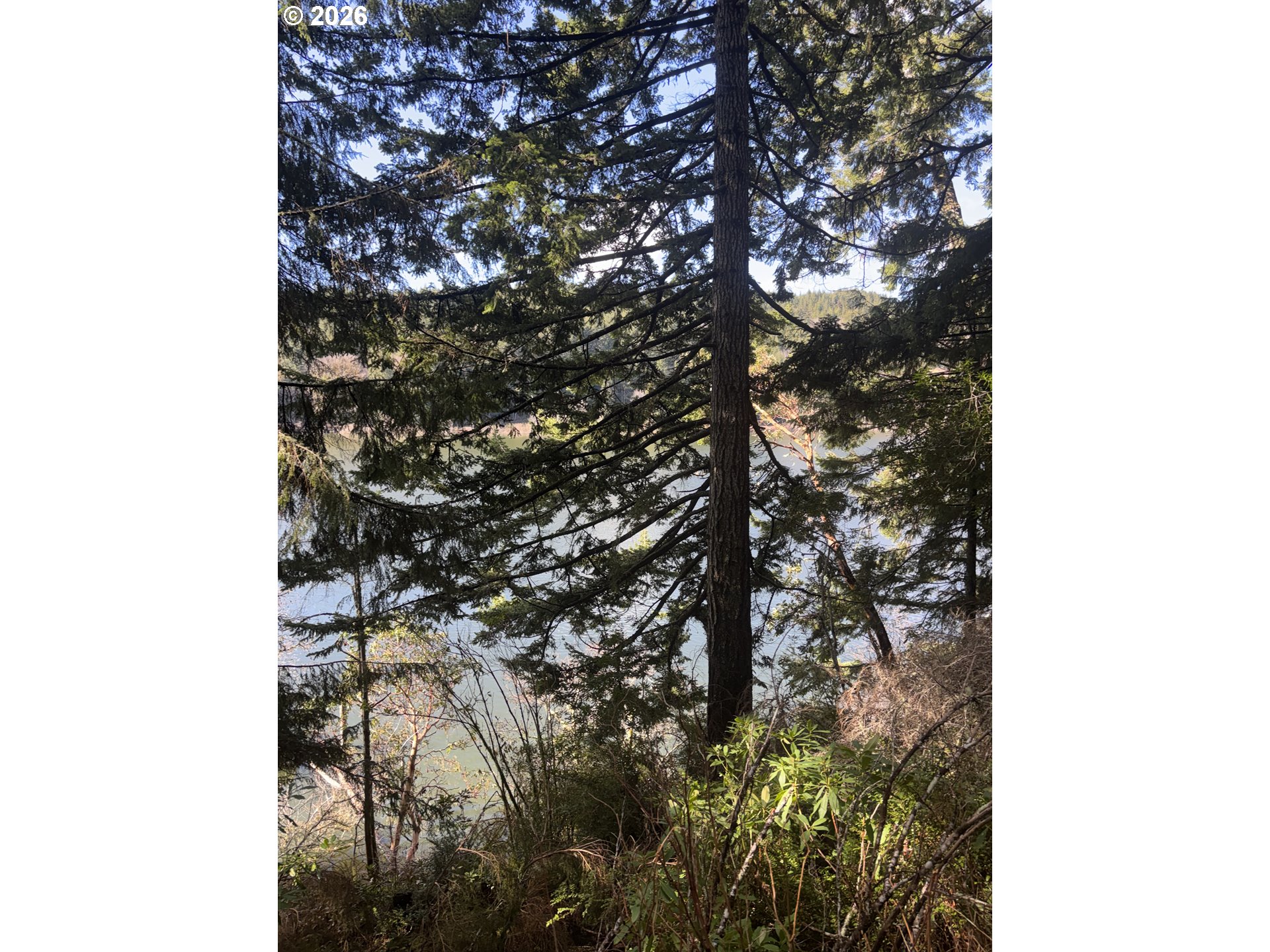 72294 Potlatch Road Lakeside, OR 97449 - Photo 14 of 30