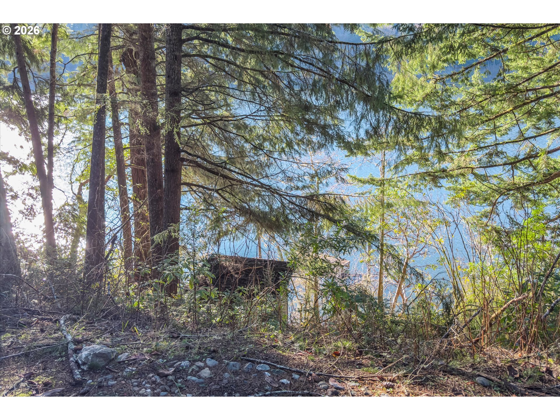 72294 Potlatch Road Lakeside, OR 97449 - Photo 18 of 30