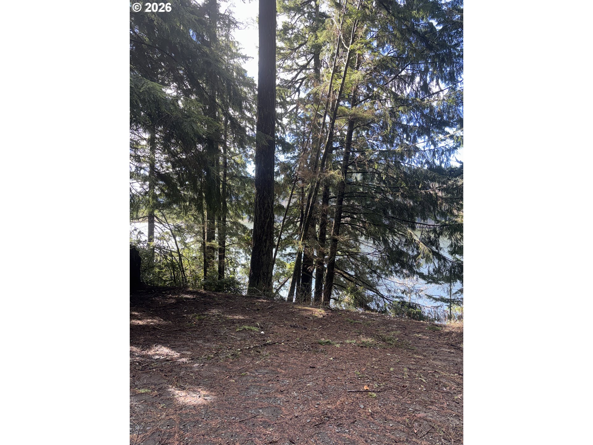 72294 Potlatch Road Lakeside, OR 97449 - Photo 5 of 30