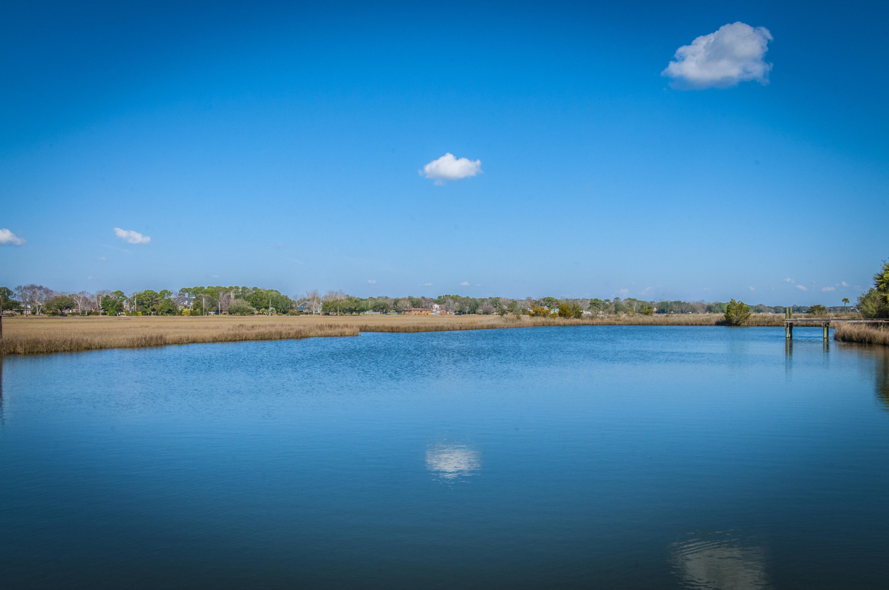 1684 Teal Marsh Road Charleston, SC 29412 - Photo 13 of 26 _DSC0227