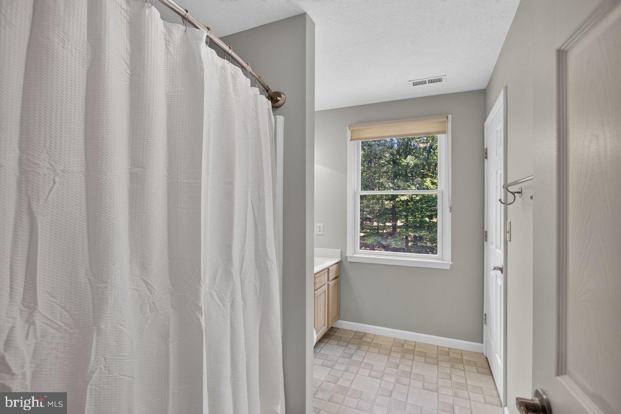 220 Oates Road Star Tannery, VA 22654 - Photo 50 of 109 Hall Bathroom