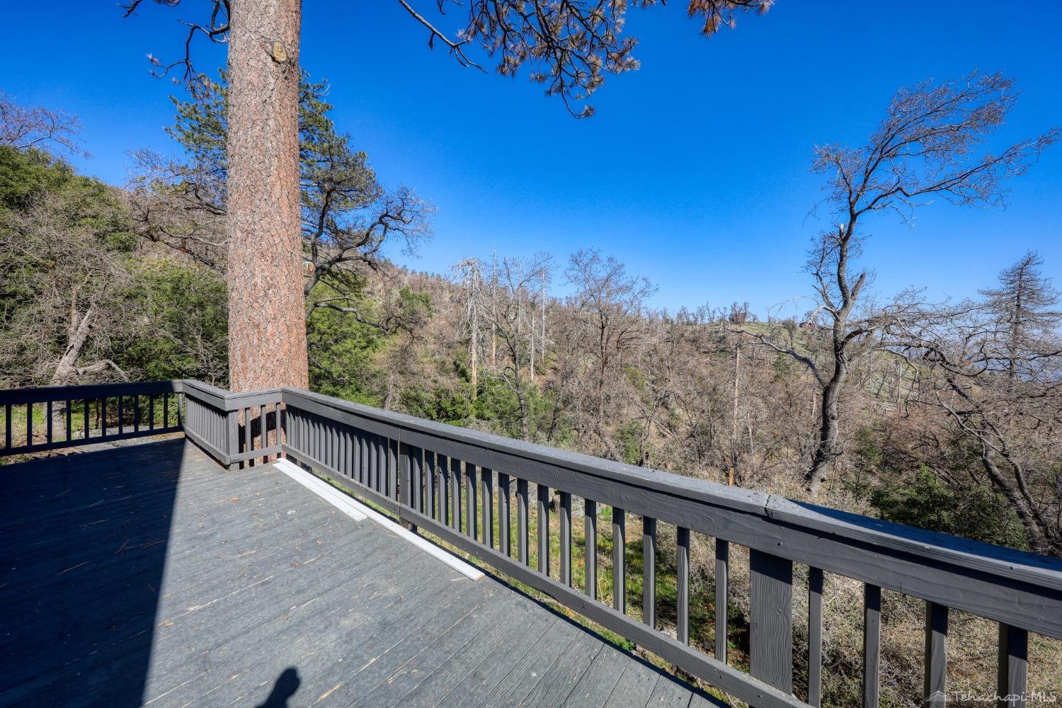 29851 Goldspike Road Tehachapi, CA 93561 - Photo 9 of 26 Gallery Image 9