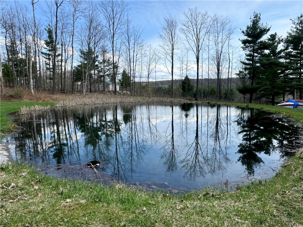 222 Park Station Road Erin, NY 14838 - Photo 4 of 33