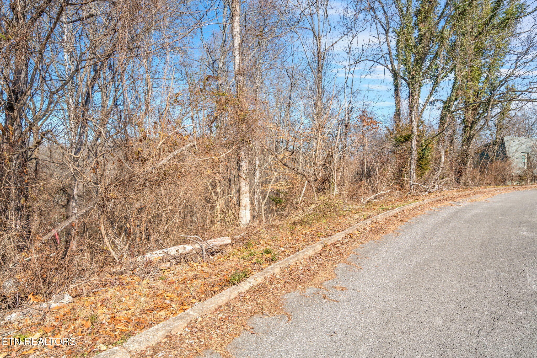 48 Orchard Knob Road Clinton, TN 37716 - Photo 25 of 29 Gallery Image 25