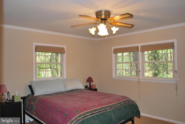 10602 Glenwild Road Silver Spring, MD 20901 - Photo 15 of 20 Master Bedroom