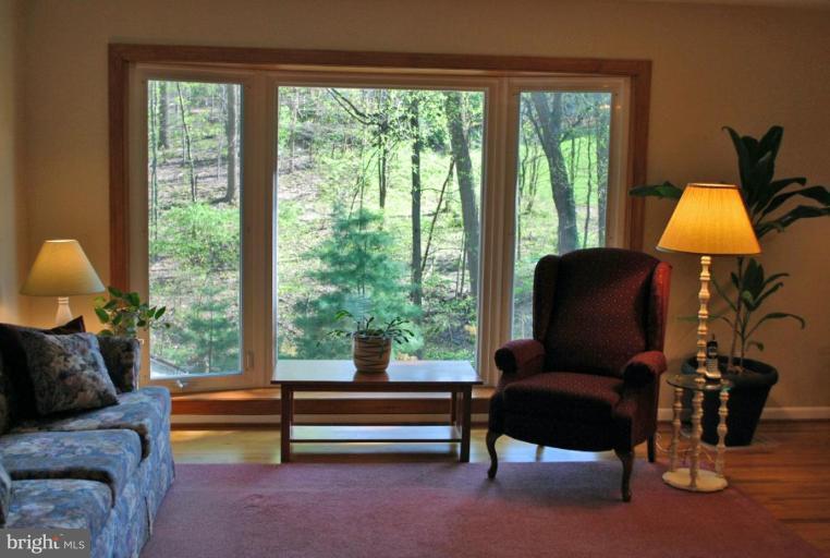 10602 Glenwild Road Silver Spring, MD 20901 - Photo 4 of 20 Living Room View
