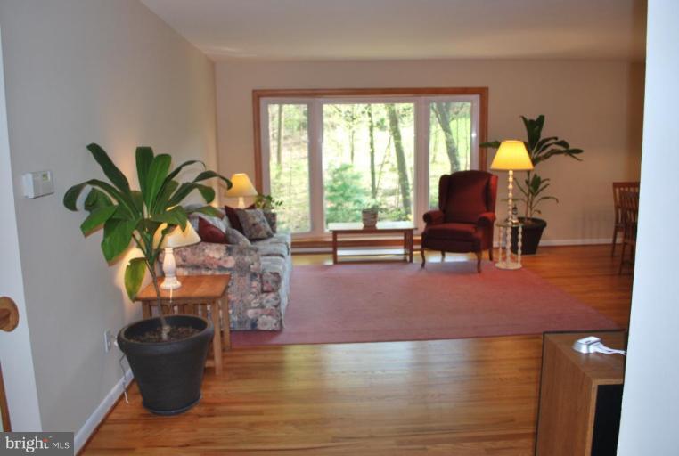 10602 Glenwild Road Silver Spring, MD 20901 - Photo 6 of 20 Living Room #3