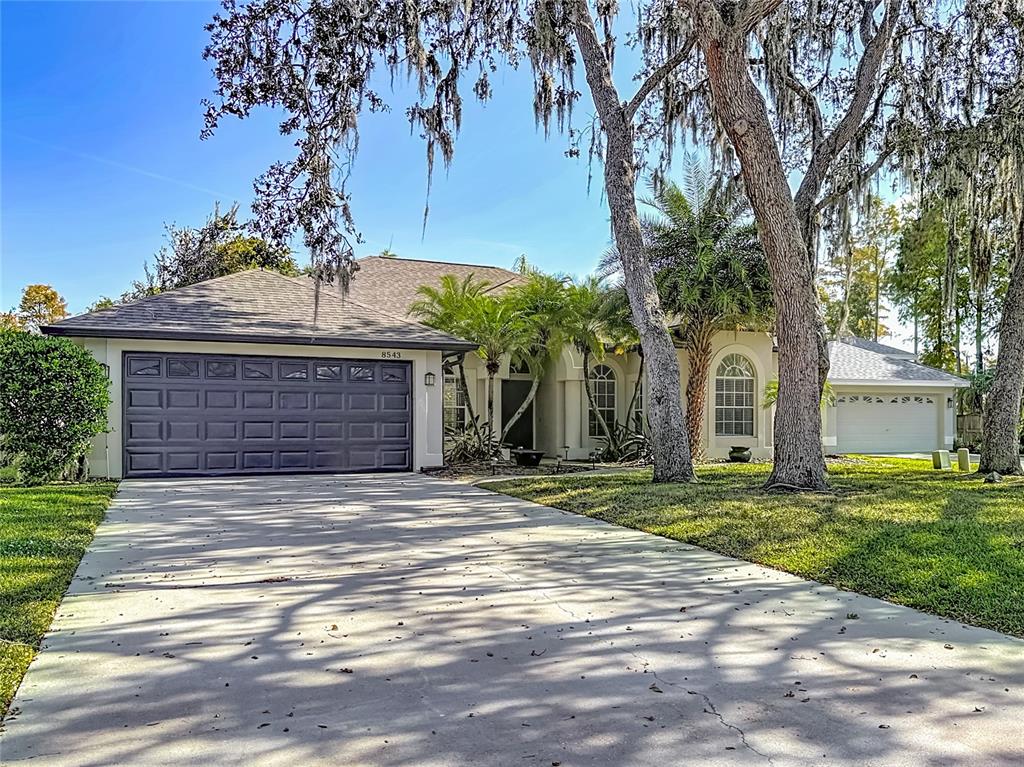 8543 Basuto Drive Trinity, FL 34655 - Photo 1 of 23