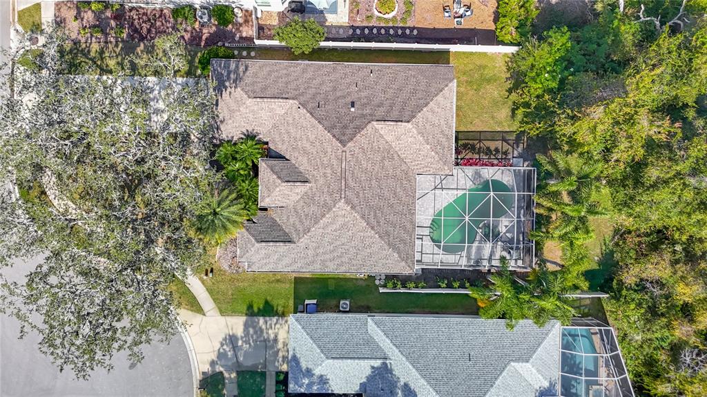 8543 Basuto Drive Trinity, FL 34655 - Photo 20 of 23