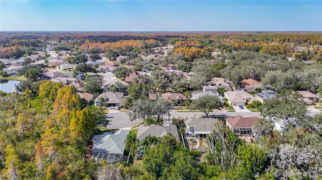 8543 Basuto Drive Trinity, FL 34655 - Photo 21 of 23