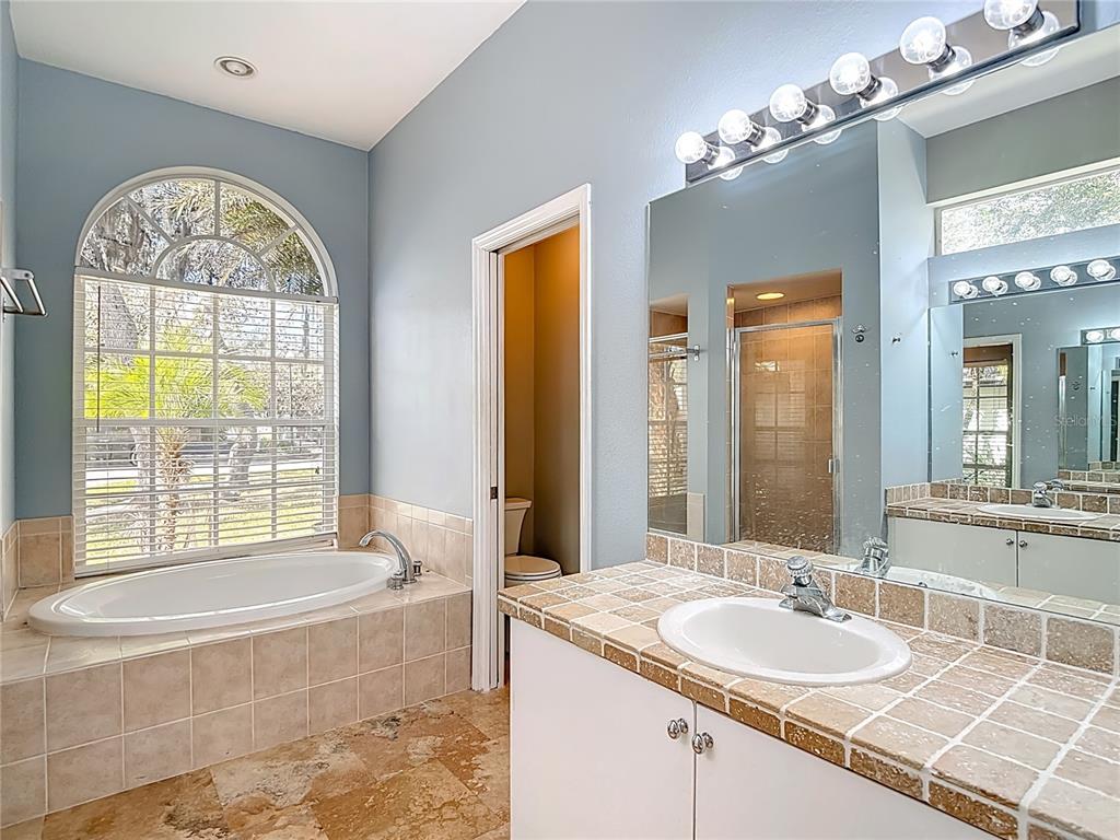 8543 Basuto Drive Trinity, FL 34655 - Photo 10 of 23