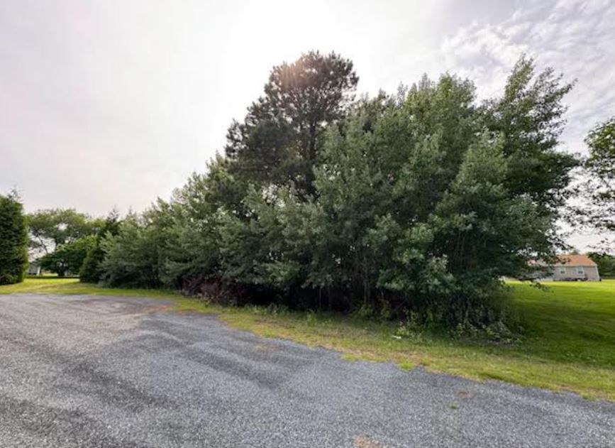 0 Octopus Road, Unit 74 Greenbackville, VA 23356 - Photo 2 of 4