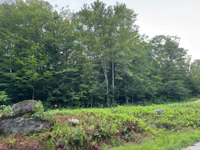 $59,900 | Lot 54-2 Jack Rabbit Run, Fryeburg, ME 04037