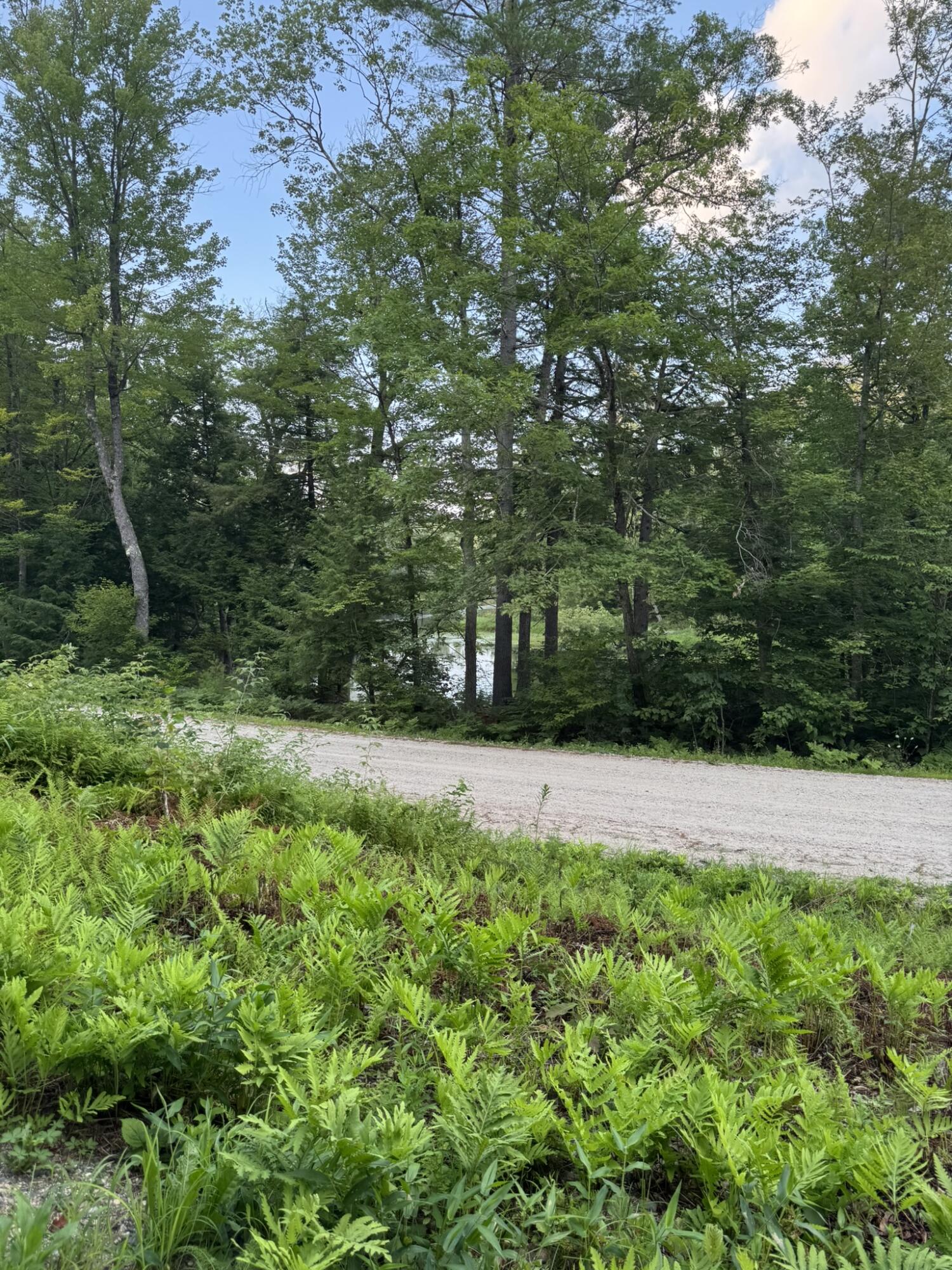 Lot 54-2 Jack Rabbit Run Fryeburg, ME 04037 - Photo 11 of 31 IMG_8749