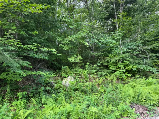 $59,900 | Lot 54-2 Jack Rabbit Run, Fryeburg, ME 04037