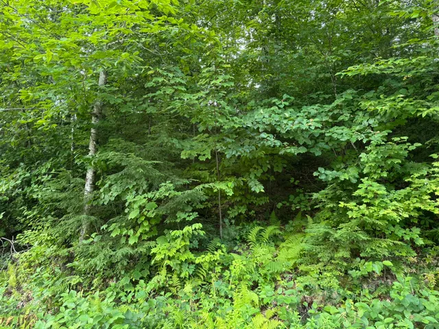 $59,900 | Lot 54-2 Jack Rabbit Run, Fryeburg, ME 04037
