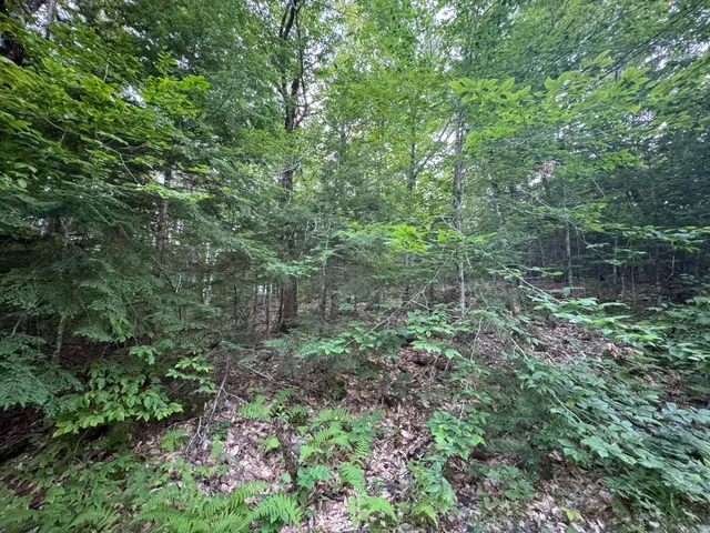 $59,900 | Lot 54-2 Jack Rabbit Run, Fryeburg, ME 04037
