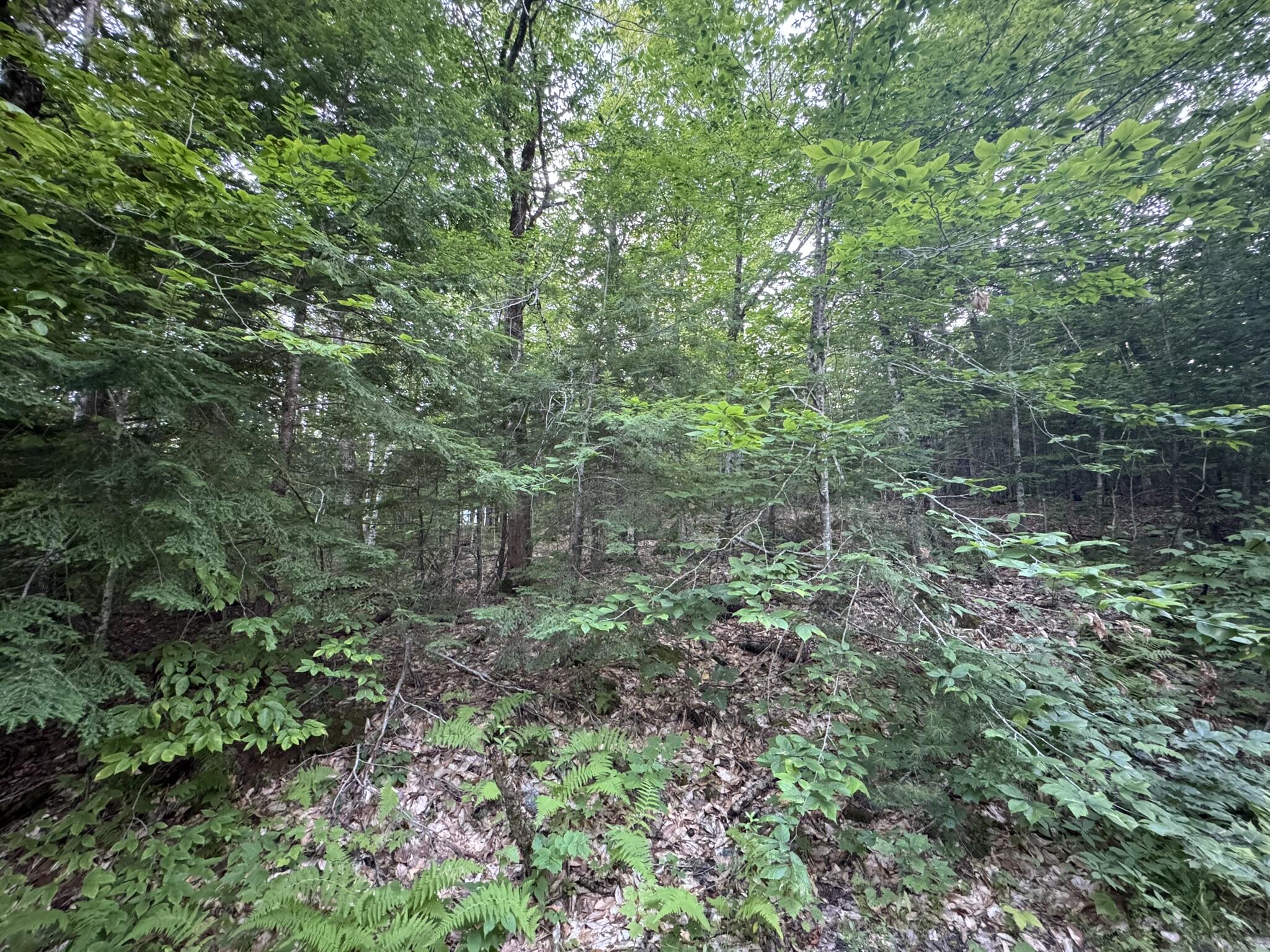 Lot 54-2 Jack Rabbit Run Fryeburg, ME 04037 - Photo 17 of 31 IMG_8758