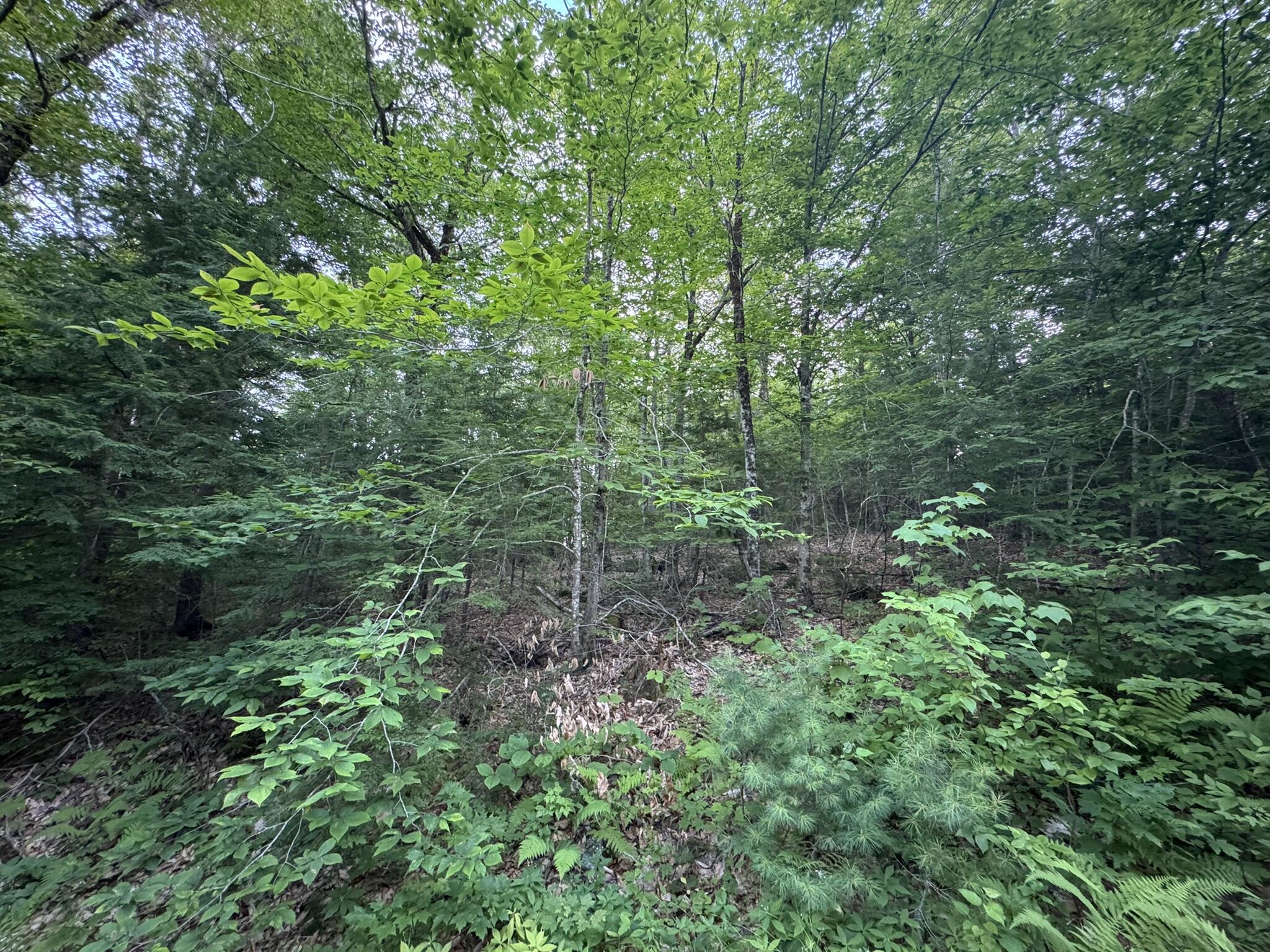 Lot 54-2 Jack Rabbit Run Fryeburg, ME 04037 - Photo 18 of 31 IMG_8759