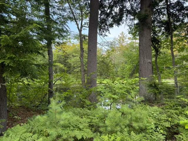 $59,900 | Lot 54-2 Jack Rabbit Run, Fryeburg, ME 04037