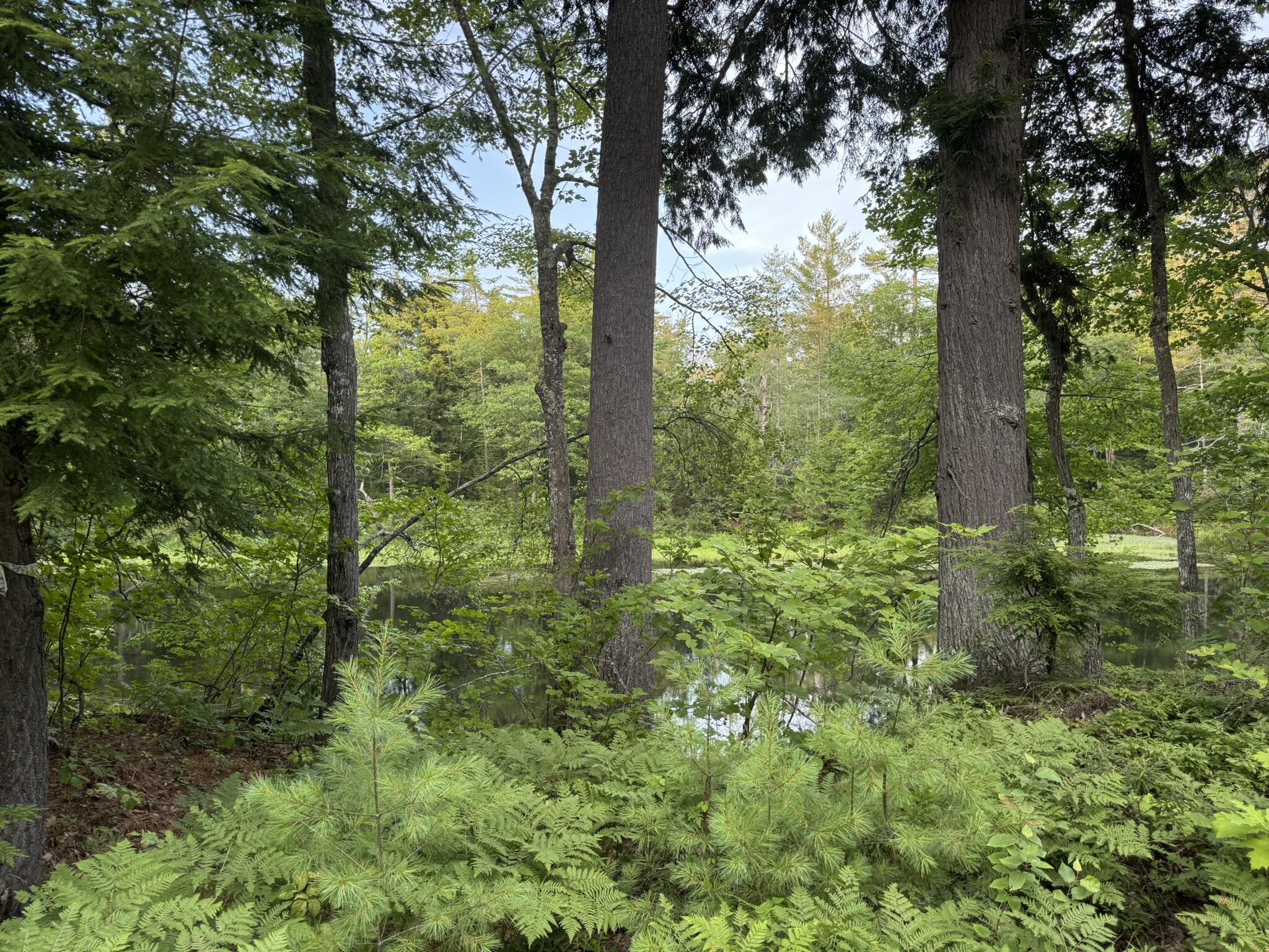 Lot 54-2 Jack Rabbit Run Fryeburg, ME 04037 - Photo 2 of 31 IMG_8741