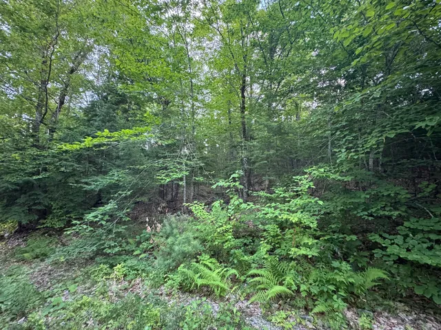 $59,900 | Lot 54-2 Jack Rabbit Run, Fryeburg, ME 04037