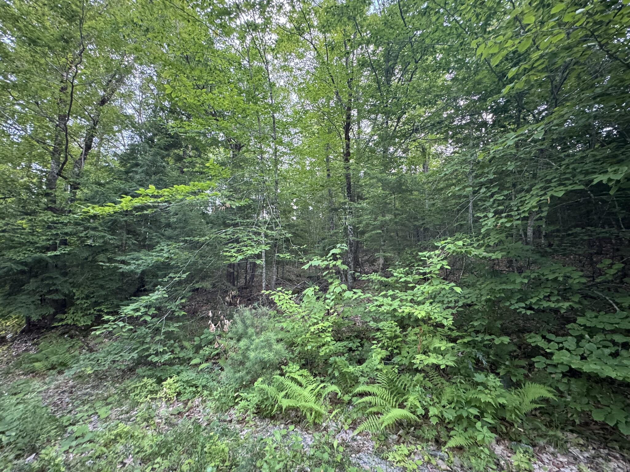 Lot 54-2 Jack Rabbit Run Fryeburg, ME 04037 - Photo 21 of 31 IMG_8762