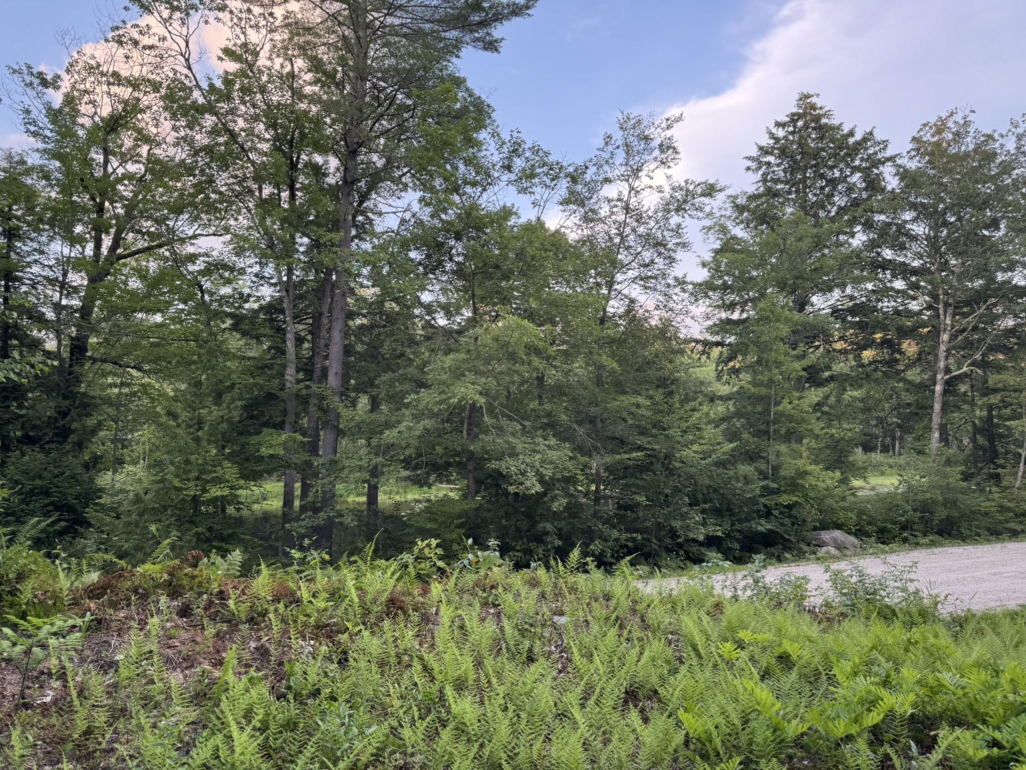 Lot 54-2 Jack Rabbit Run Fryeburg, ME 04037 - Photo 22 of 31 IMG_8764