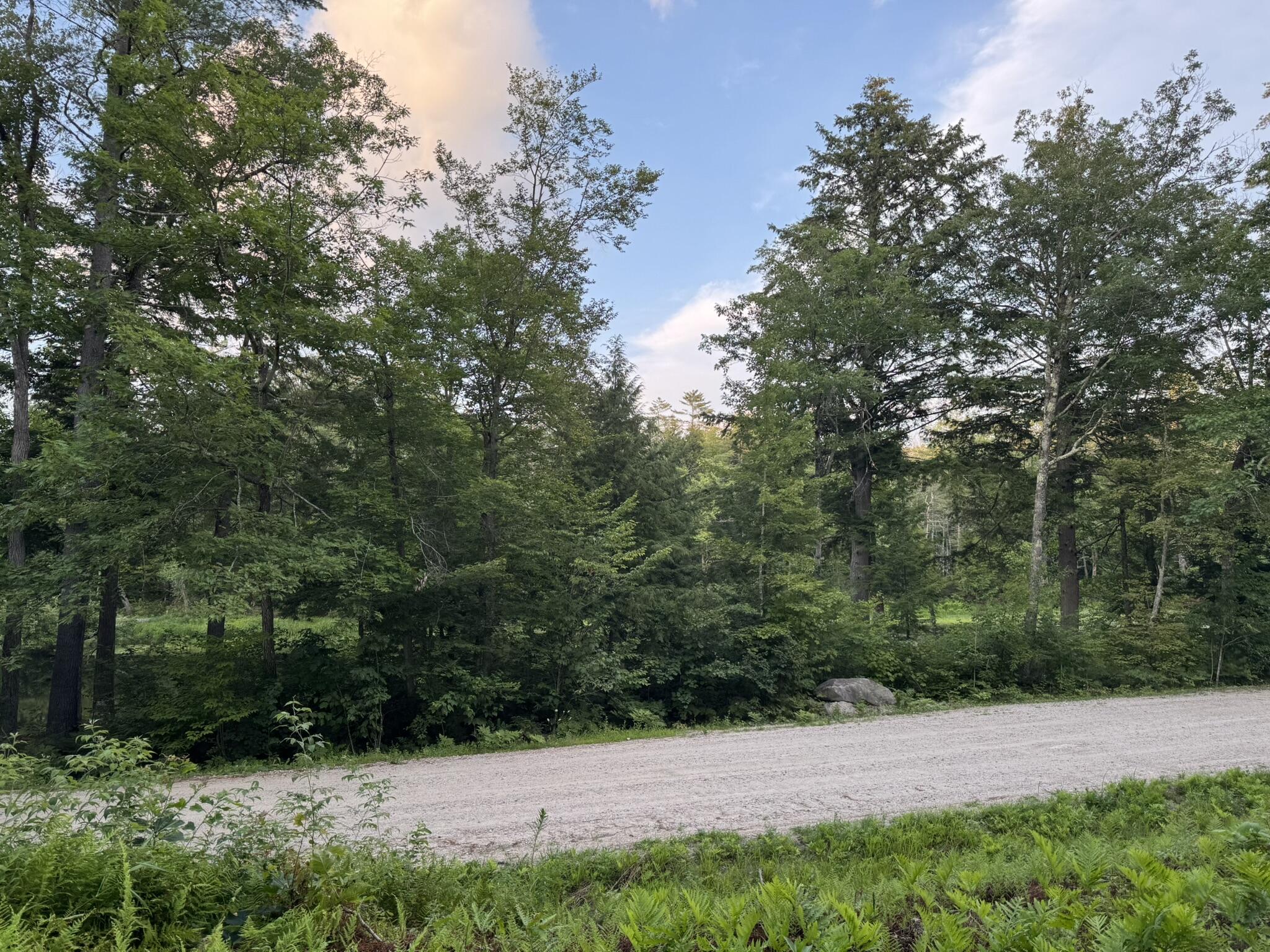 Lot 54-2 Jack Rabbit Run Fryeburg, ME 04037 - Photo 23 of 31 IMG_8765