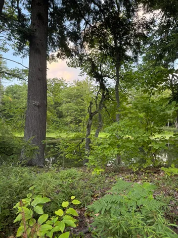 $59,900 | Lot 54-2 Jack Rabbit Run, Fryeburg, ME 04037