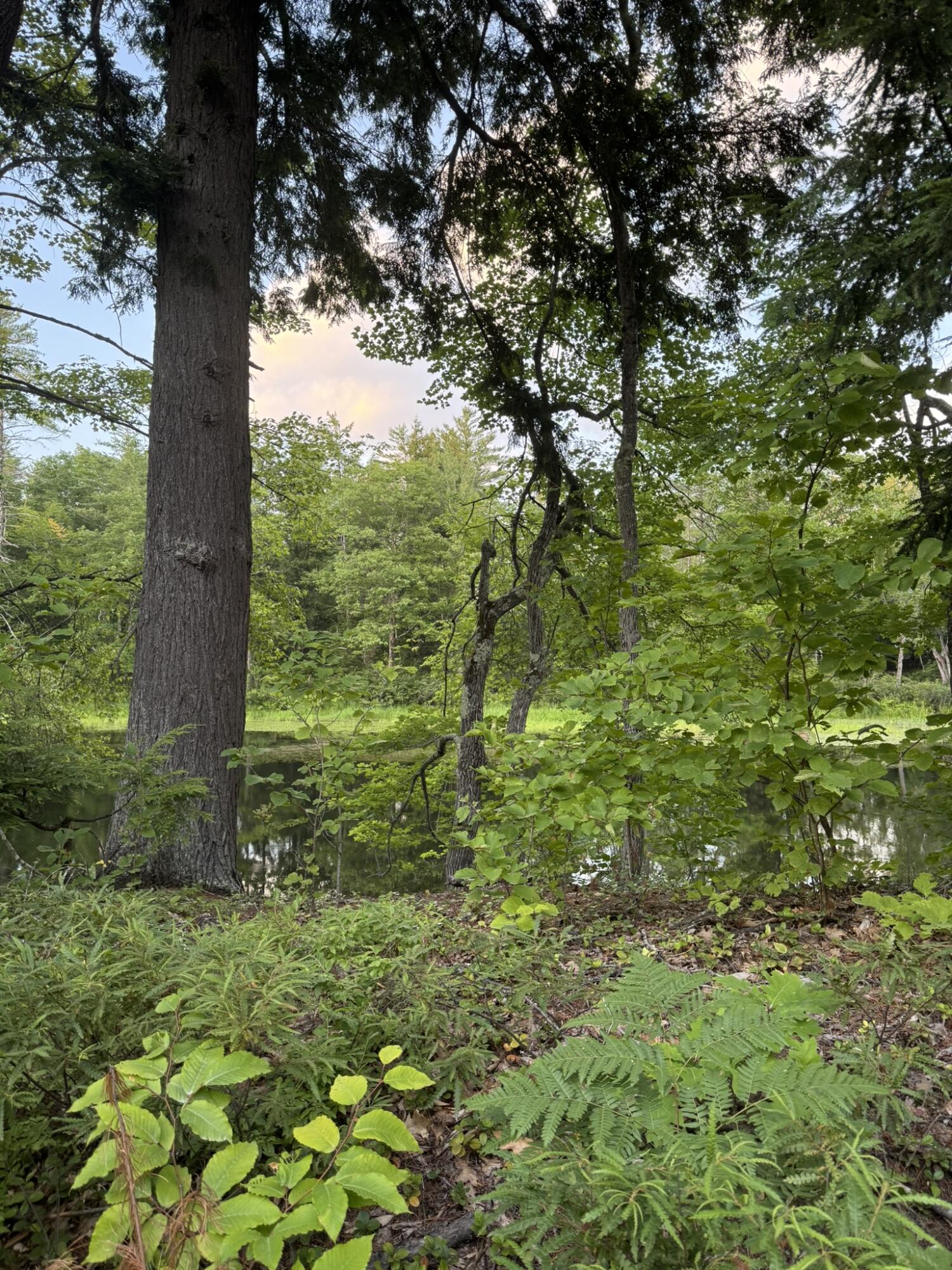 Lot 54-2 Jack Rabbit Run Fryeburg, ME 04037 - Photo 24 of 31 IMG_8766