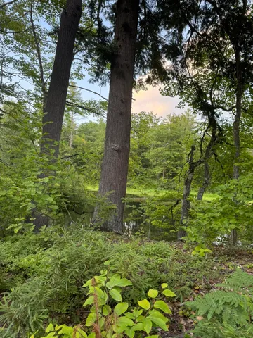 $59,900 | Lot 54-2 Jack Rabbit Run, Fryeburg, ME 04037