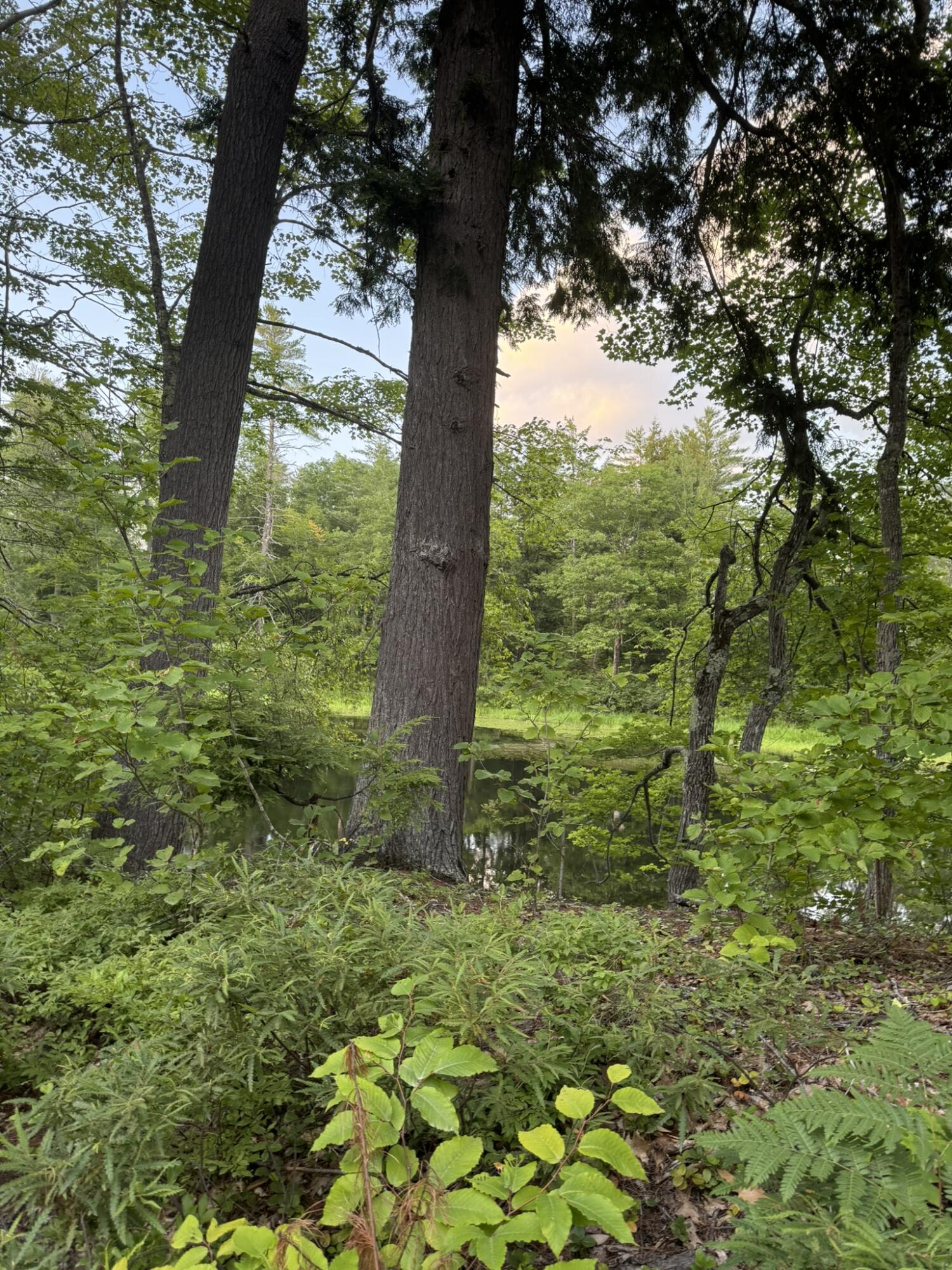 Lot 54-2 Jack Rabbit Run Fryeburg, ME 04037 - Photo 25 of 31 IMG_8767