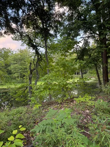 $59,900 | Lot 54-2 Jack Rabbit Run, Fryeburg, ME 04037