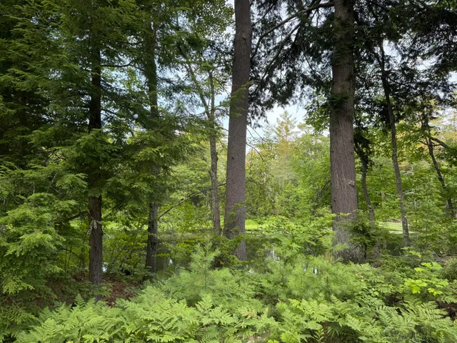 $59,900 | Lot 54-2 Jack Rabbit Run, Fryeburg, ME 04037