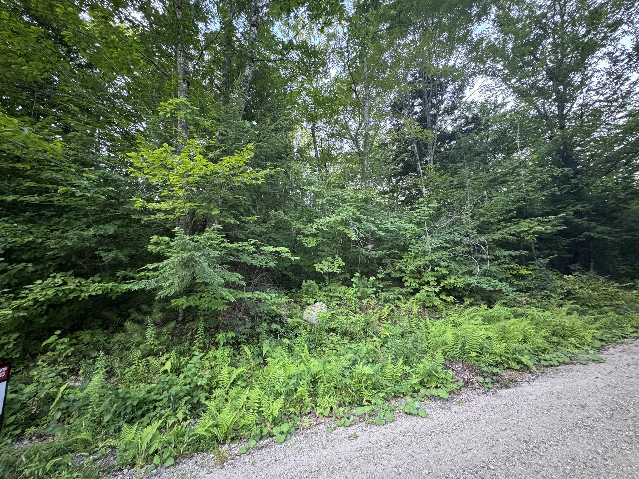 Lot 54-2 Jack Rabbit Run Fryeburg, ME 04037 - Photo 5 of 31 IMG_8755