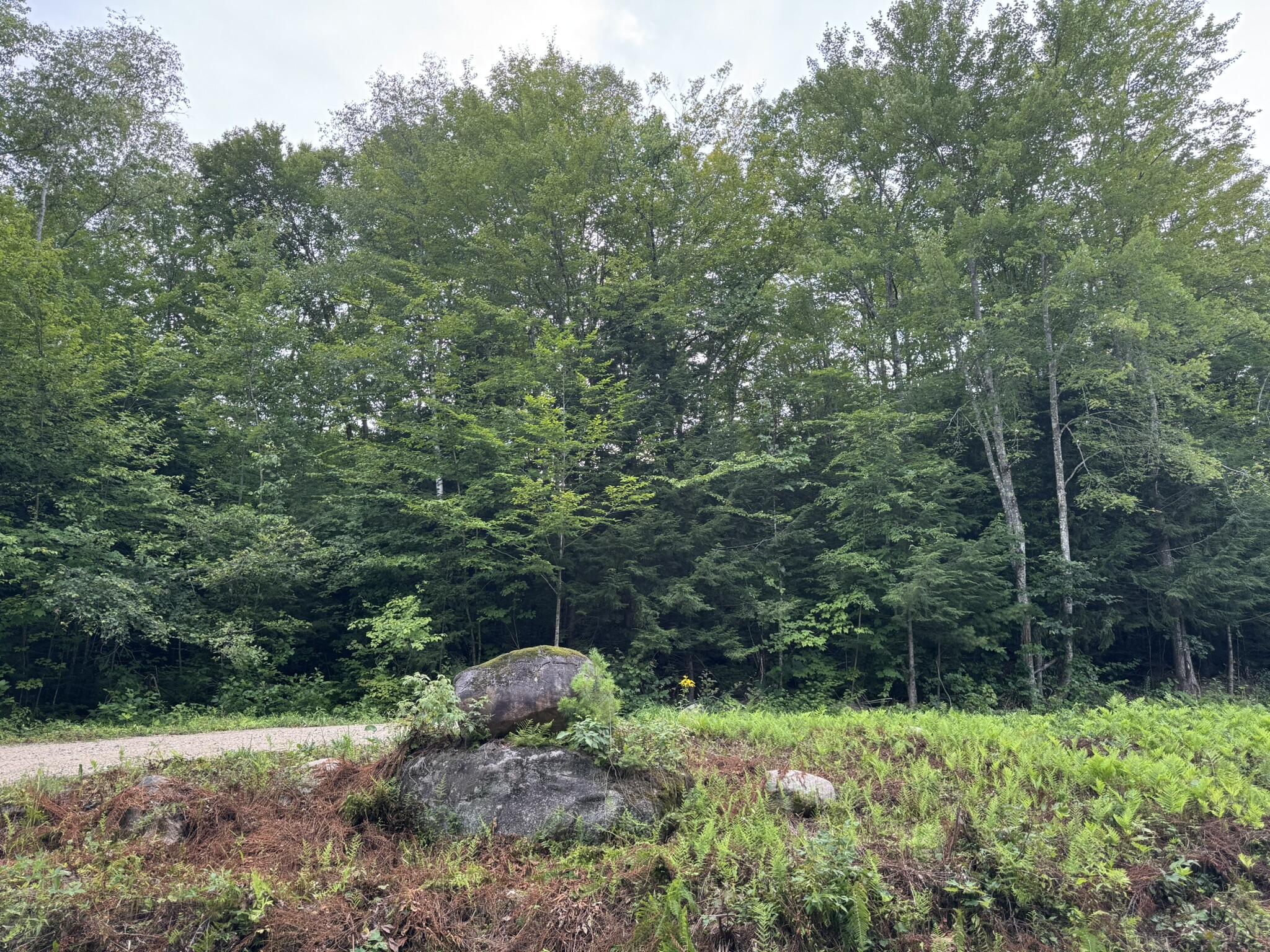 Lot 54-2 Jack Rabbit Run Fryeburg, ME 04037 - Photo 6 of 31 IMG_8735