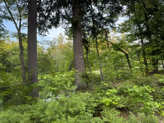 $59,900 | Lot 54-2 Jack Rabbit Run, Fryeburg, ME 04037