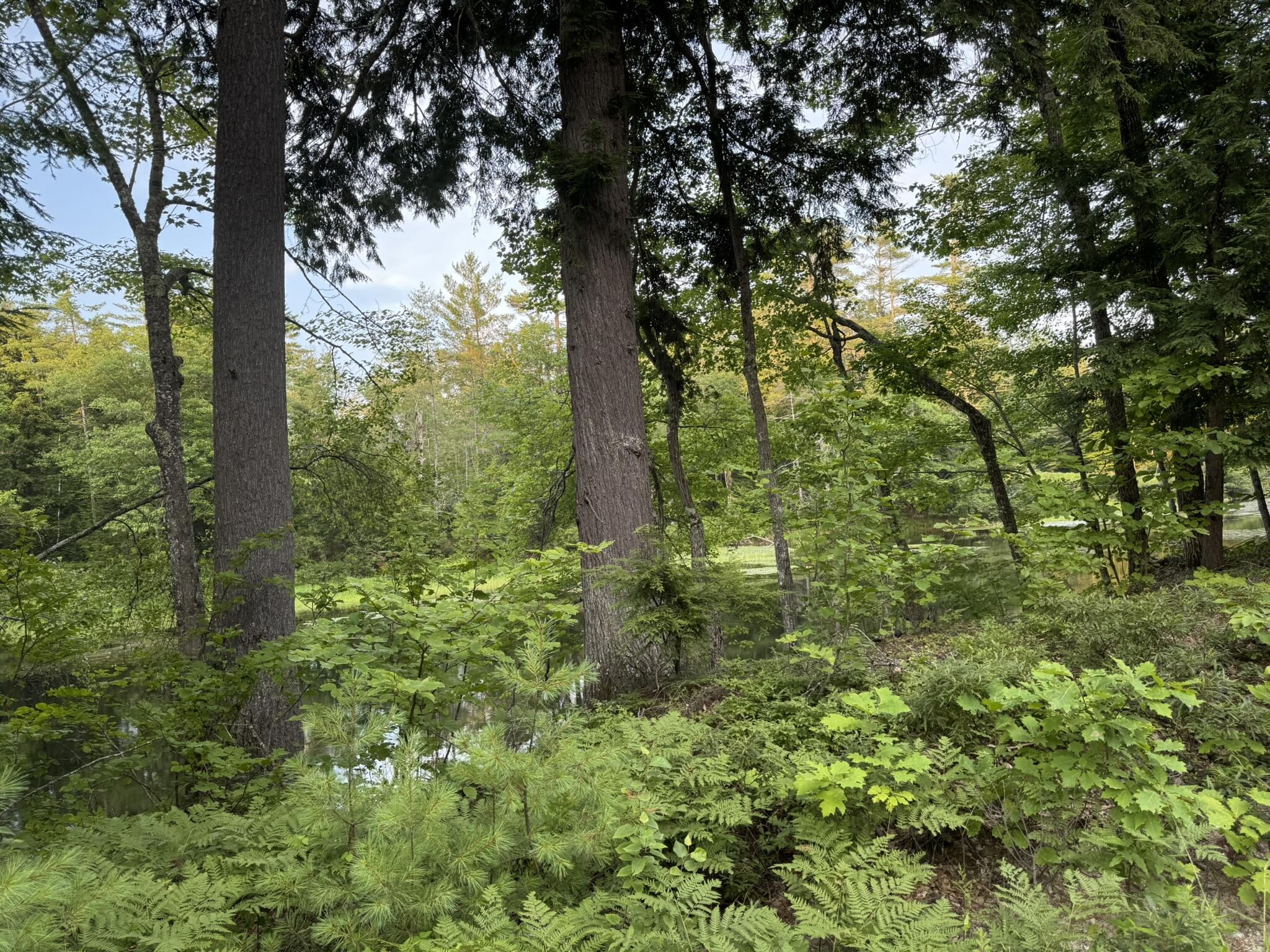 Lot 54-2 Jack Rabbit Run Fryeburg, ME 04037 - Photo 8 of 31 IMG_8743