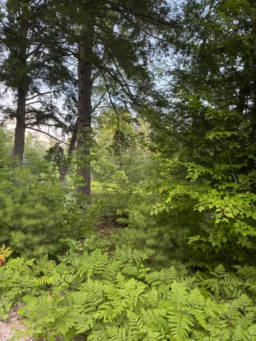 $59,900 | Lot 54-2 Jack Rabbit Run, Fryeburg, ME 04037