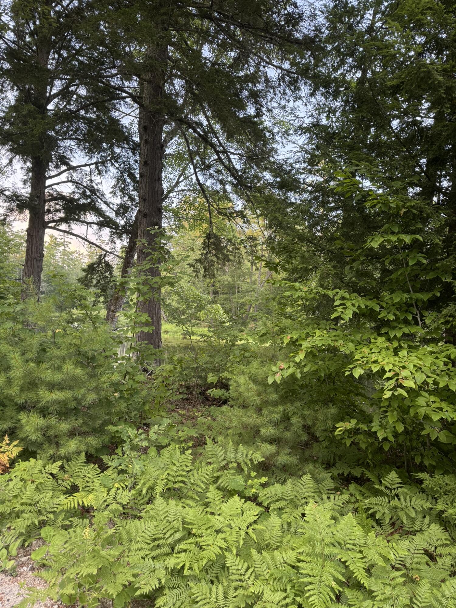 Lot 54-2 Jack Rabbit Run Fryeburg, ME 04037 - Photo 9 of 31 IMG_8744