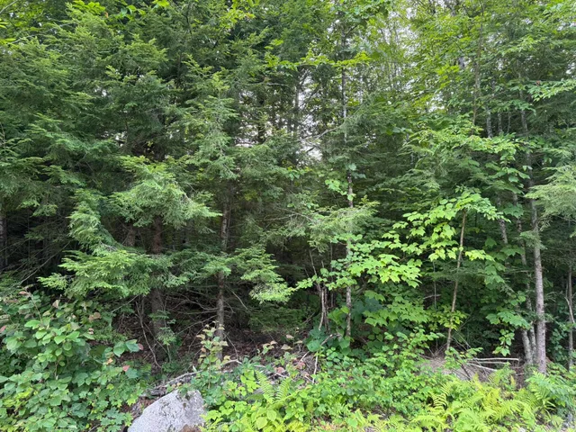 $59,900 | Lot 54-2 Jack Rabbit Run, Fryeburg, ME 04037