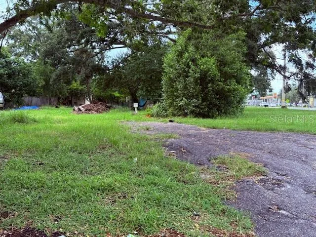 a view of a yard with a tree